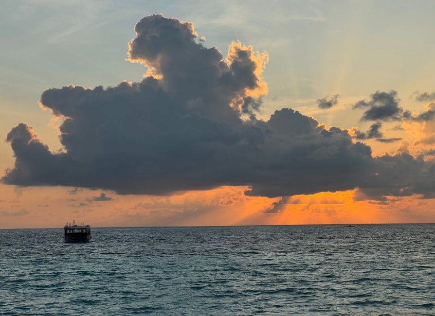 10 Días en Thundufushi - Un Viaje a Través de Aguas Azules, Jardines de Coral y Momentos de Quietud