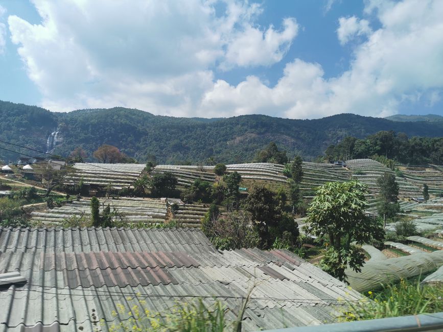 ……拥有许多农业特征的风景……