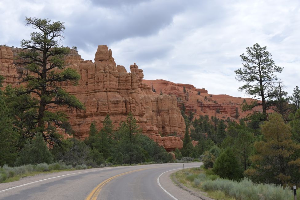 Red Canyon