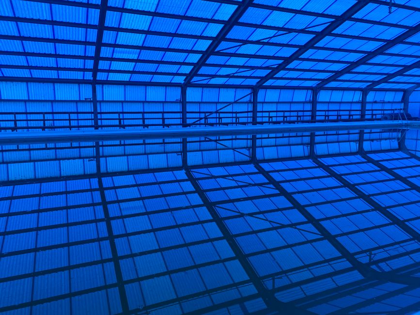 Road trip to Milford Sound