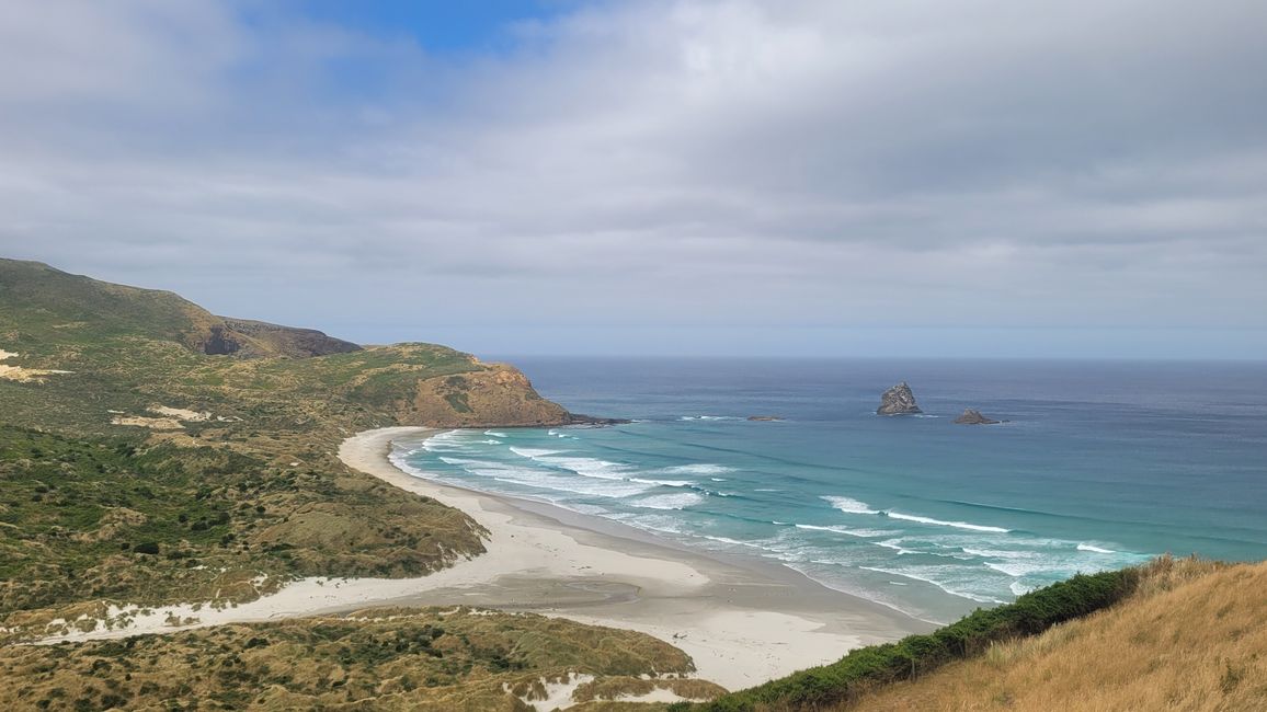 29.Januar -27.Februar 2025 Neuseeland
7.Februar