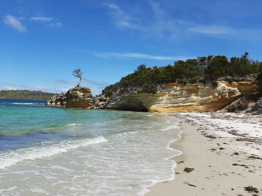 - Singapur & Tasmania 2019 -