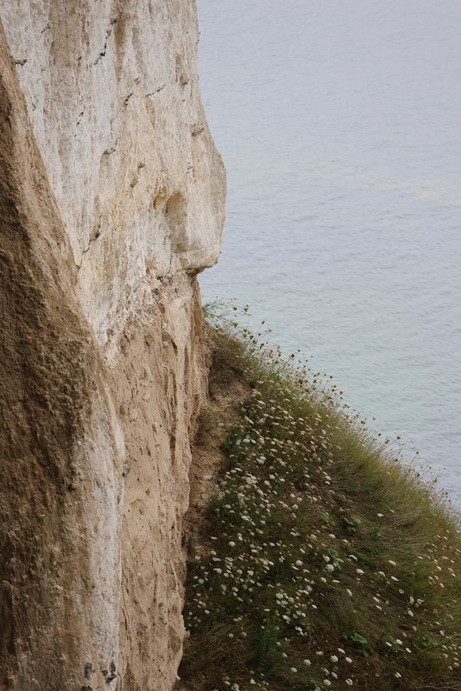 Discover Germany anew