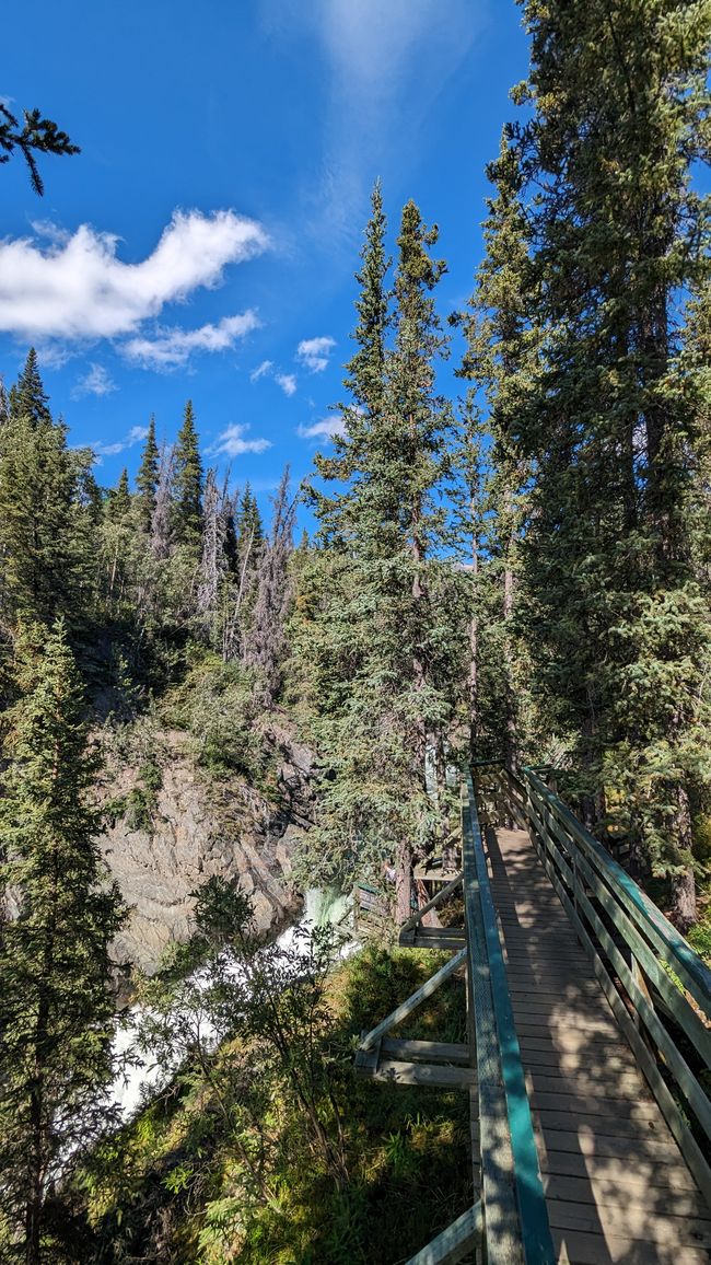 Tag 27: Bärenshow & fantastische Bergwelten - zurück nach Yukon/Kanada