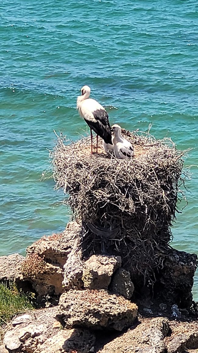 Porto Covo, bike and hike