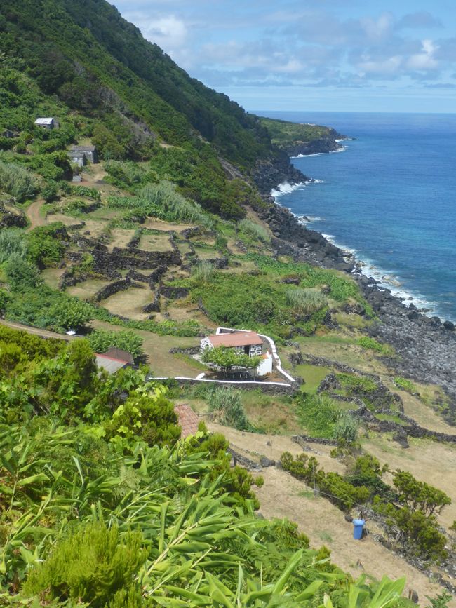 Fajã Penedia
