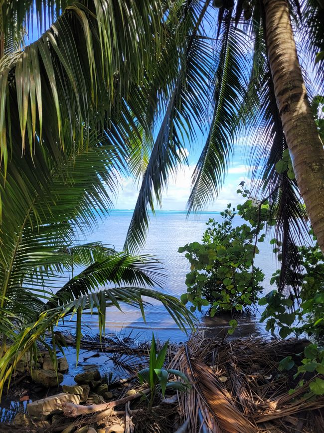 Día 67 de 175: Crucero alrededor del mundo - Moorea / Polinesia Francesa