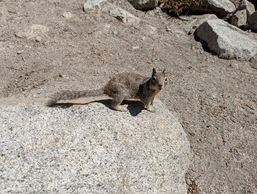 Yosemite