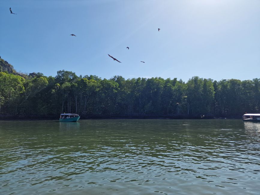 Kilim Forest Park