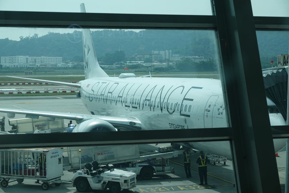 Weiterreise von George Town nach Auckland ....