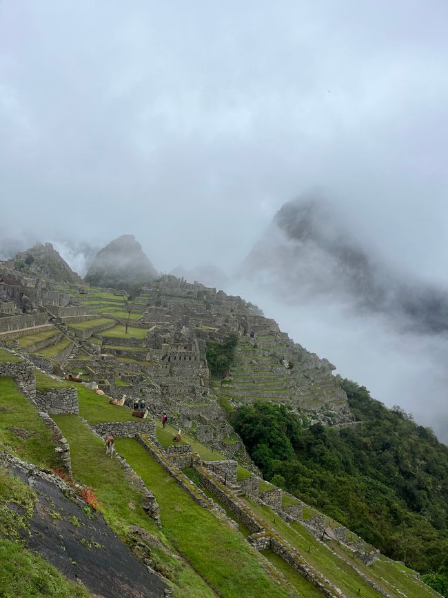 Machu Picchu
