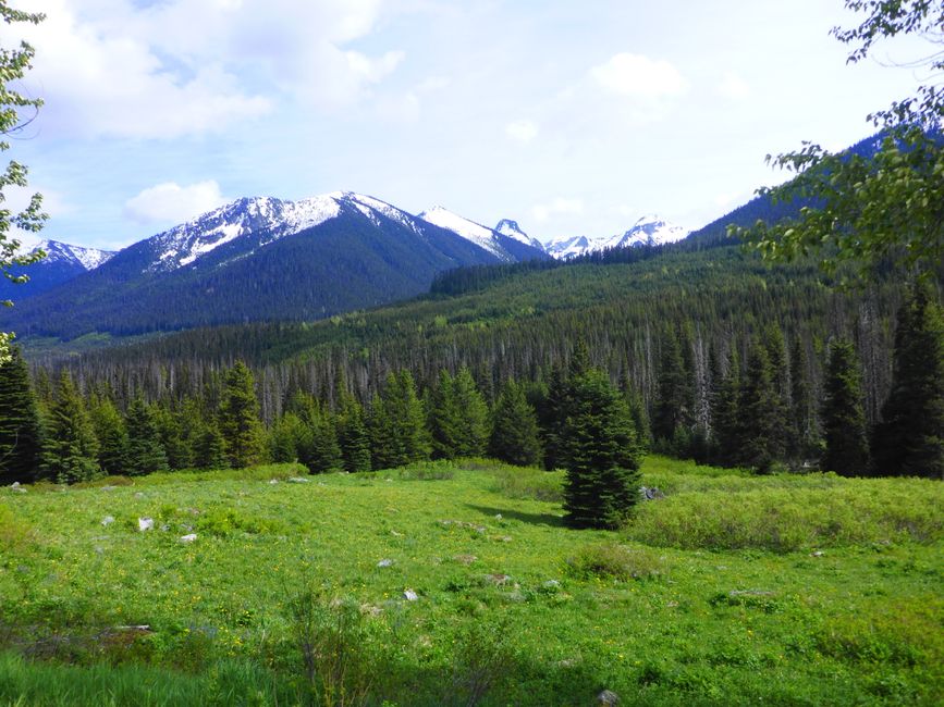 2025-06-02 Whistler, CA