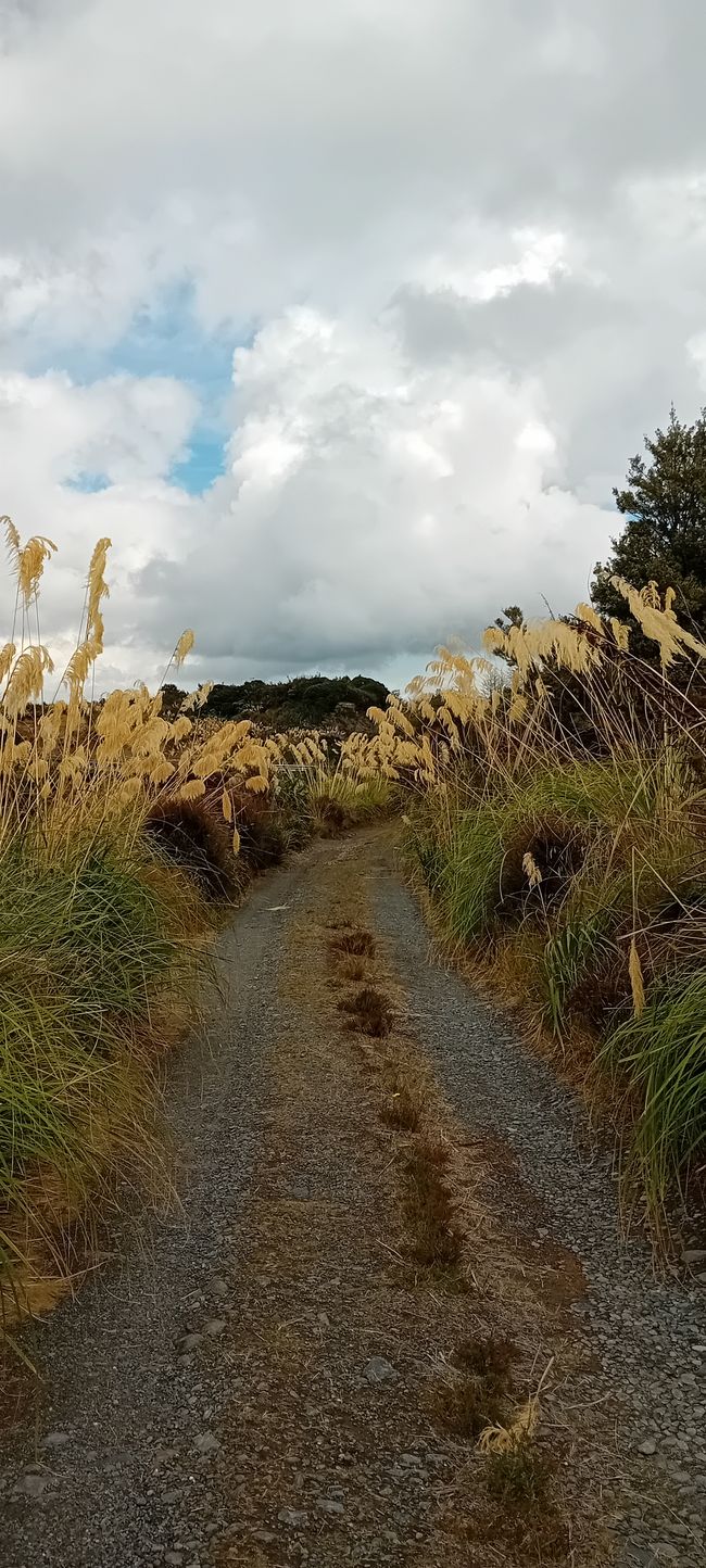 Autoroute du Monde Oublié / République de Whangamomona