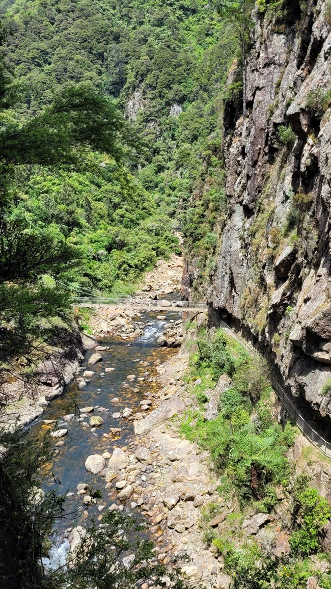 On the Trail of the Gold and Ore Mine in the Karangahake Gorge