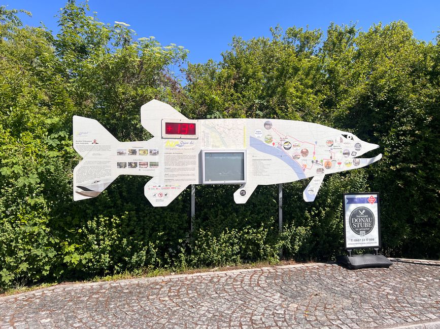 16 nach Linz