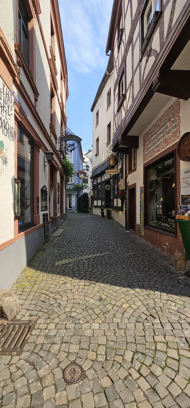 Cochem on the Moselle