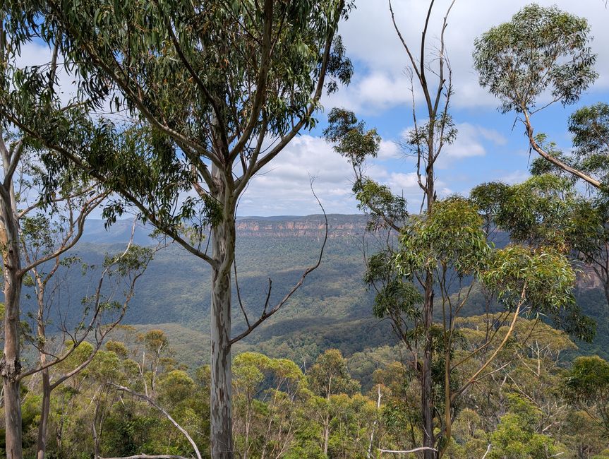Blue Mountains