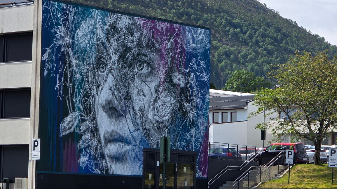 Isola Runde-Sud Norvegia
19 Giugno 2026