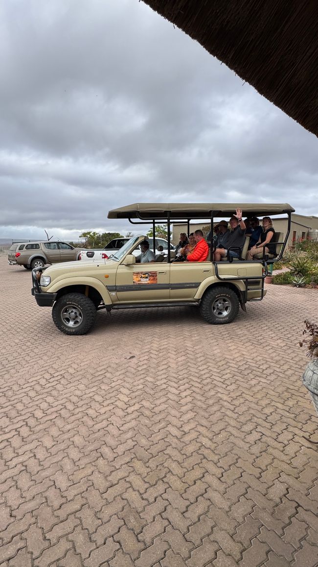 7 Uhr Safari Start 