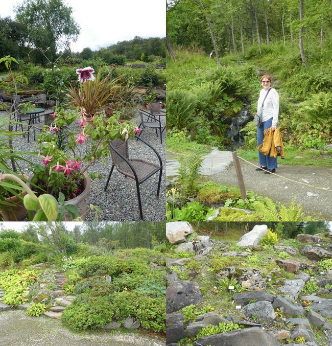 Tromsø arktisk-alpine botanisk hage