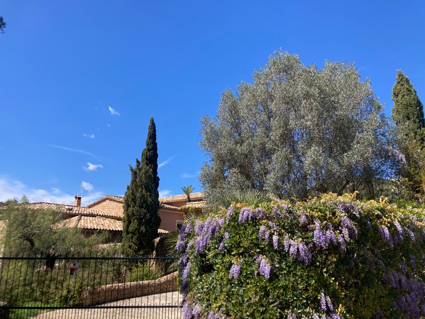 Wandern… von Santa Maria aus zum Tramuntana Gebirge…soweit meine Füße mich tragen