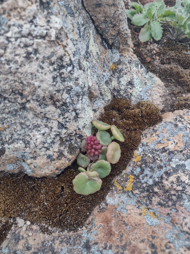 Hike to the westernmost point of Europe