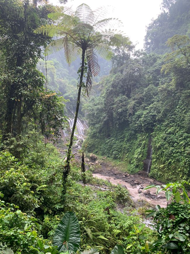 Malang y sus alrededores