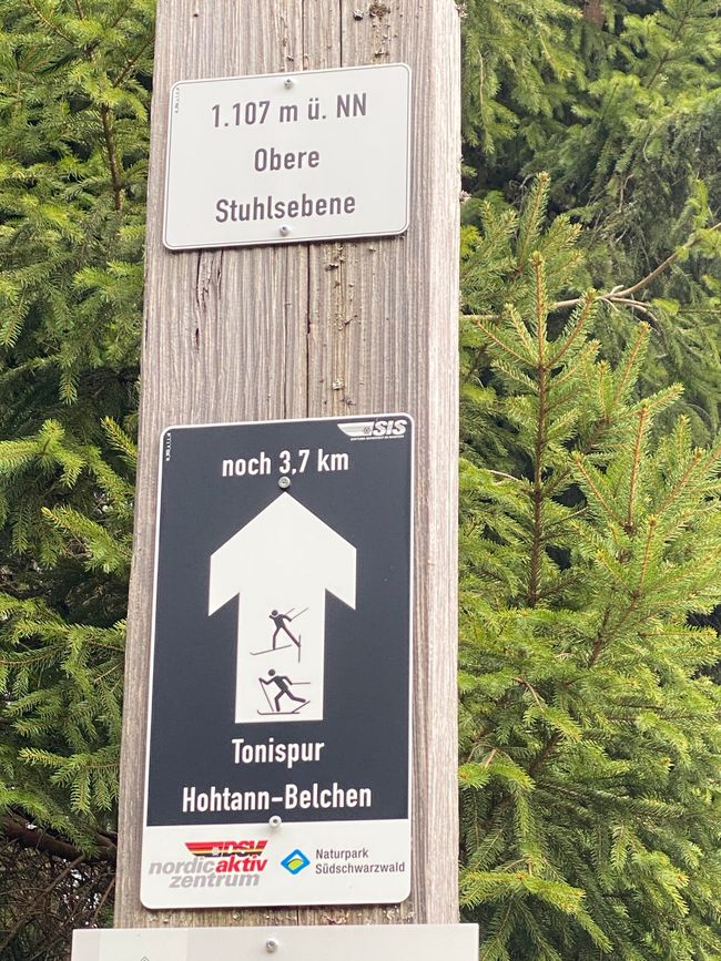 Was immer eine Tonispur sein mag - hier gibt es sie