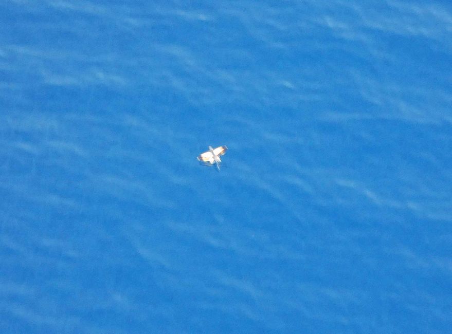 Poisson volant