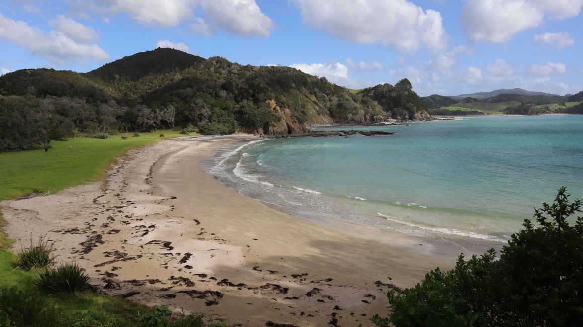 Mimiwhangata Scenic Reserve