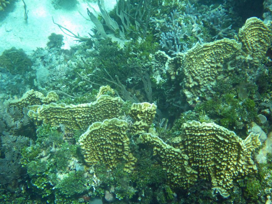 Waiag, Raja Ampat, Indonesia
