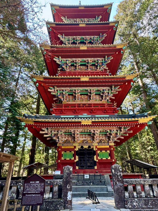 Parte 7
BENVENUTO IN GIAPPONE 🇯🇵
TOKYO