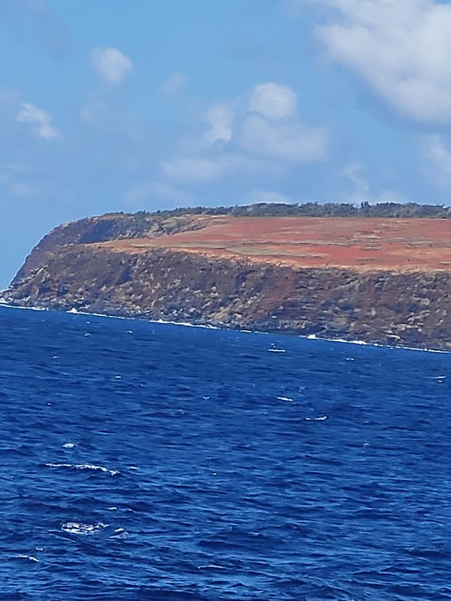 Tag 54 und 55 von 175: Kreuzfahrt rund um die Welt  - Hanga Roa/Osterinsel