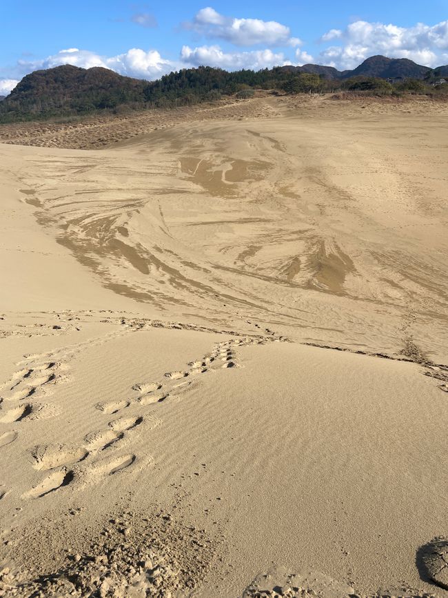 28. Kapitel: Ausflug in die japanische Wüste und ein verhinderter Kamelritt