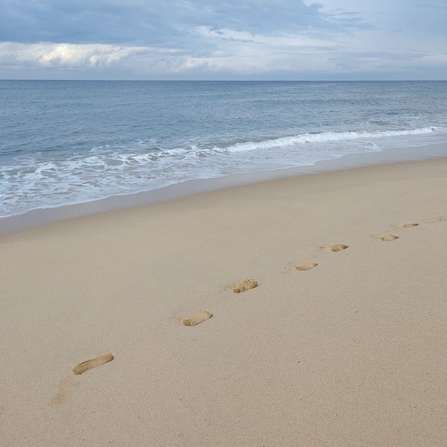 Espinho