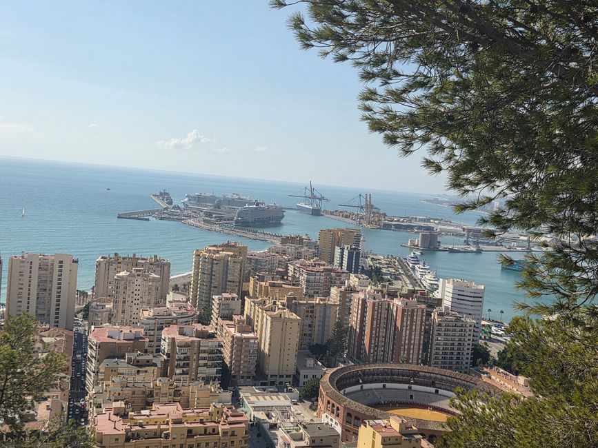 Hufe, Hüften, Flamenco – Mein Pferdeabenteuer in Málaga bei El Ranchito