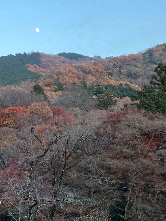 Monte Hiei, 840 m