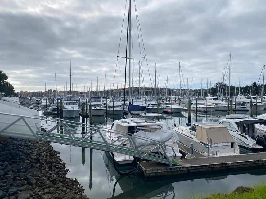 De whangarei à auckland