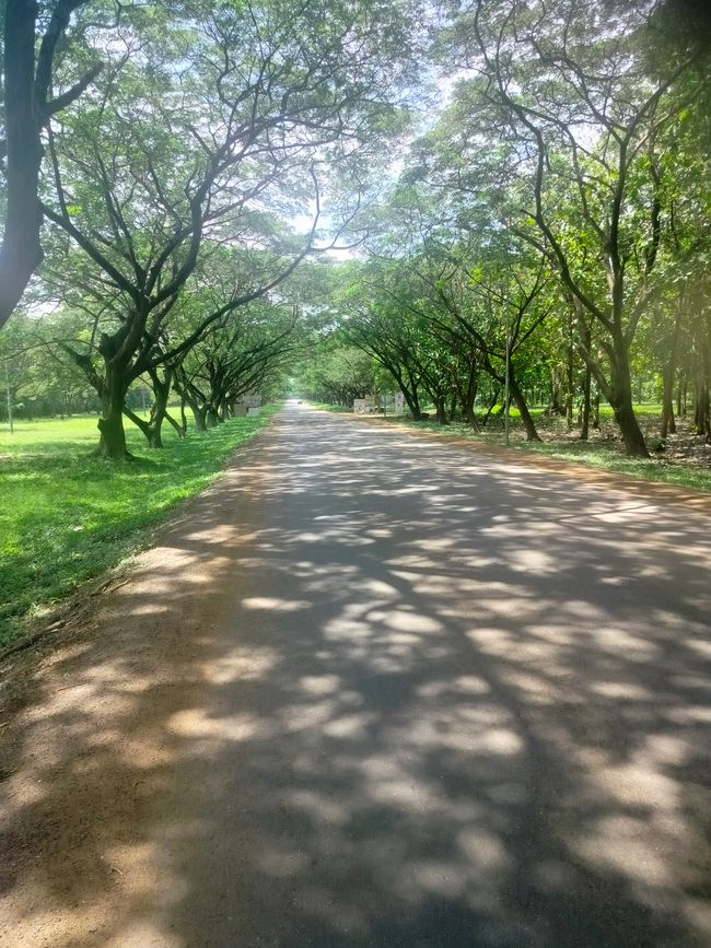 On the Road