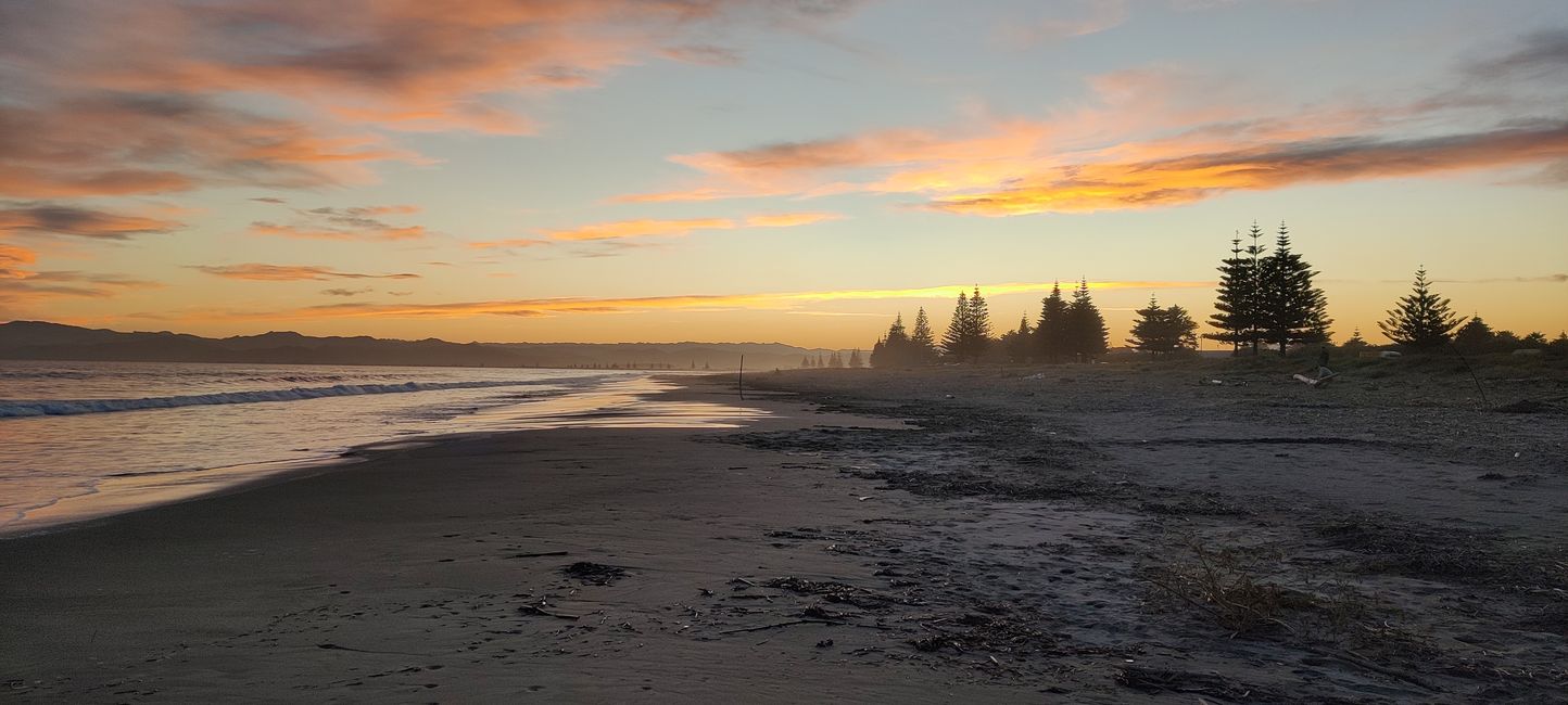 Woche 23 - Money Money Money