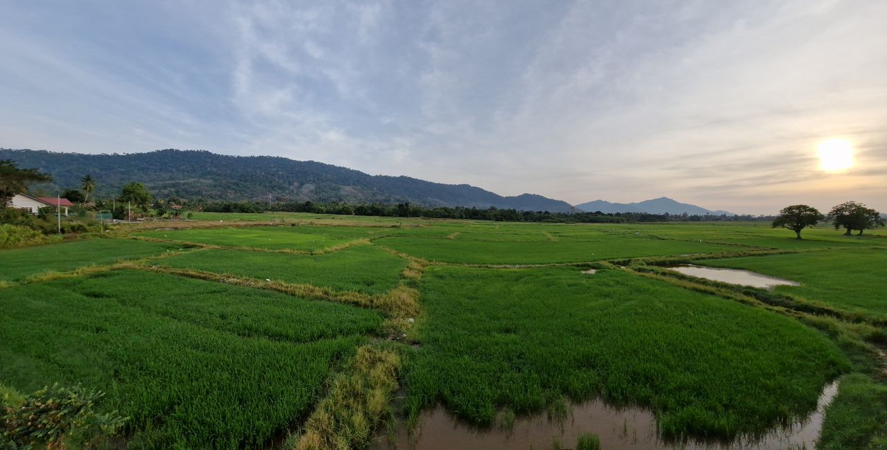 Gunung Raya