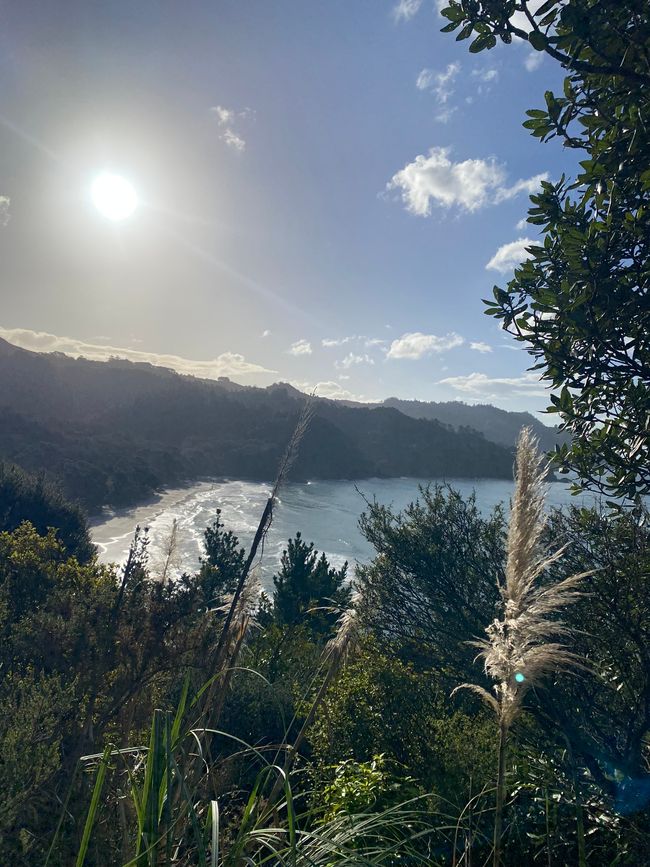 Coromandel loop