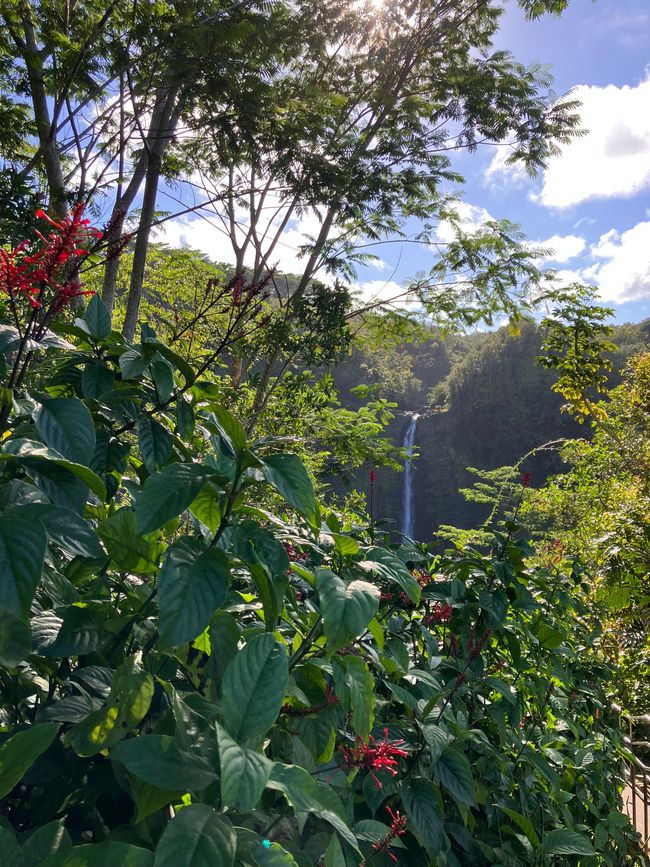 D4 - Helitour Blue Hawaiian helicopter 🚁 Hilo, Akaka waterfalls and Mauna Kea sunset