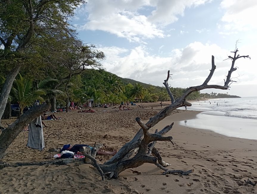 Erfrischung im Dschungel und an einem der schönsten Strände von Guadeloupe