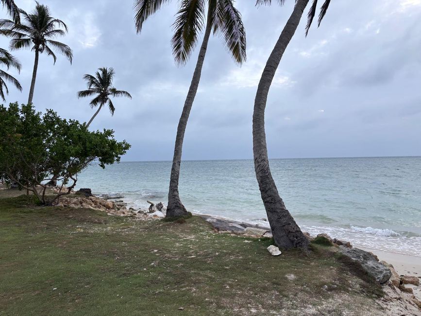 Semaine 26-28 : Au revoir, Colombie