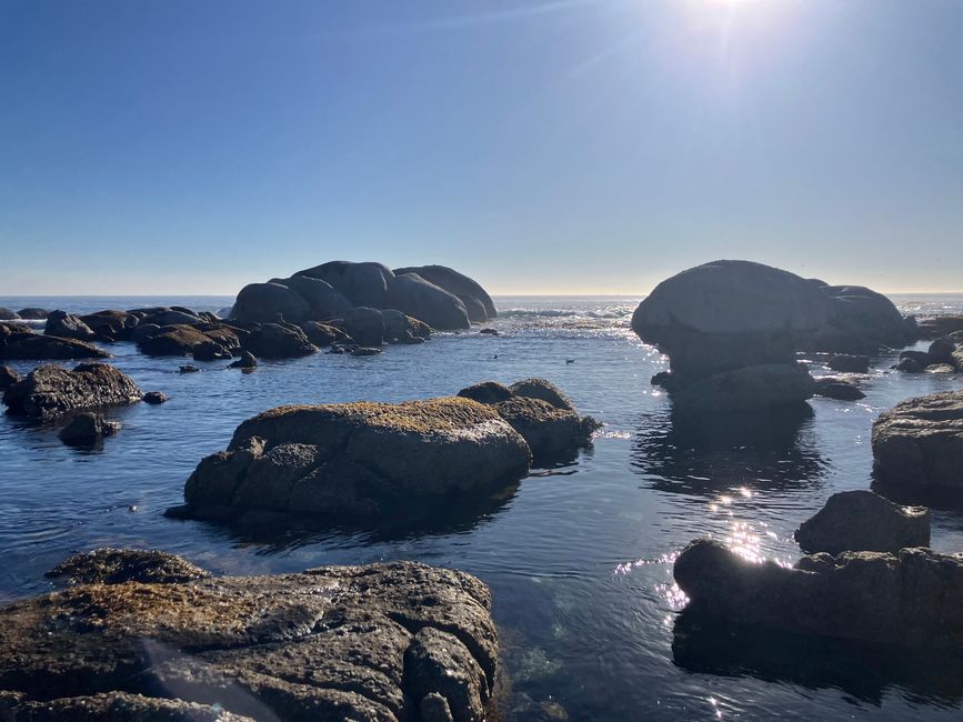 Kapstadt - zu schön um wahr zu sein?!