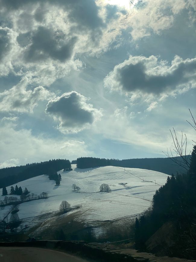 Durch das Münstertal - 
