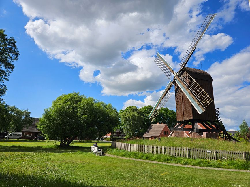 Bockwindmühle