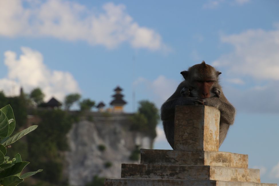 Day 11: Ubud and the Southern Tip of Bali