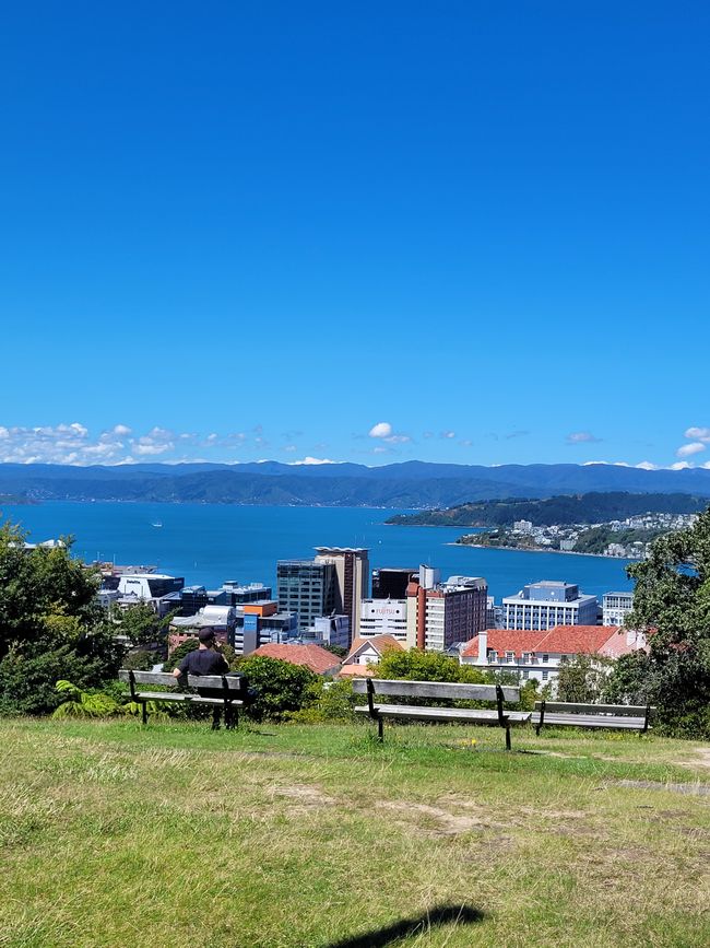 Jour 82 sur 175 : Croisière autour du monde - Wellington/Nouvelle-Zélande
